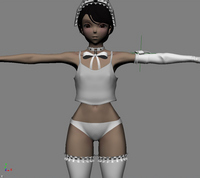 species013.jpg
